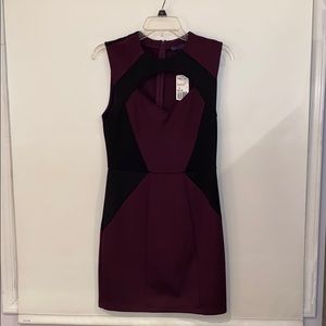 NWT Women’s dress